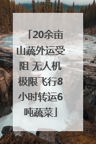 20余亩山蔬外运受阻 无人机极限飞行8小时转运6吨蔬菜