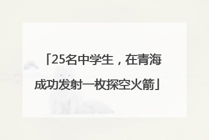 25名中学生，在青海成功发射一枚探空火箭