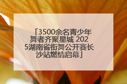 3500余名青少年舞者齐聚星城 2025湖南省街舞公开赛长沙站燃情启幕