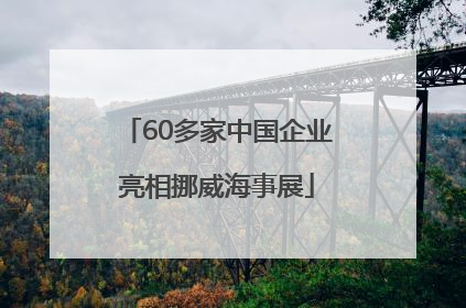 60多家中国企业亮相挪威海事展