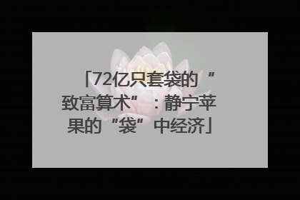 72亿只套袋的“致富算术”：静宁苹果的“袋”中经济