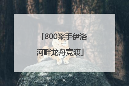 800桨手伊洛河畔龙舟竞渡