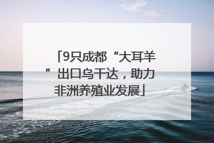 9只成都“大耳羊”出口乌干达，助力非洲养殖业发展
