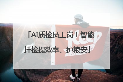 AI质检员上岗！智能扦检提效率、护粮安