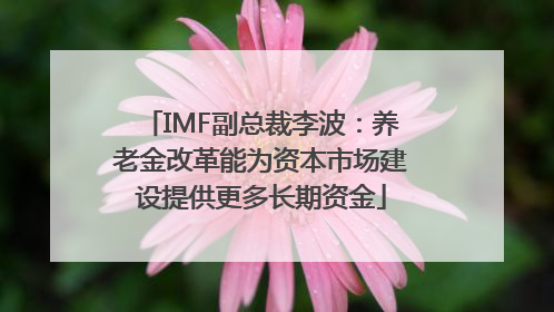 IMF副总裁李波：养老金改革能为资本市场建设提供更多长期资金